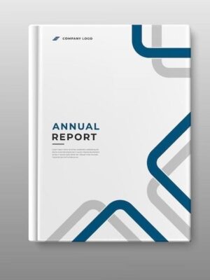 PROFFESIONAL REPORTS